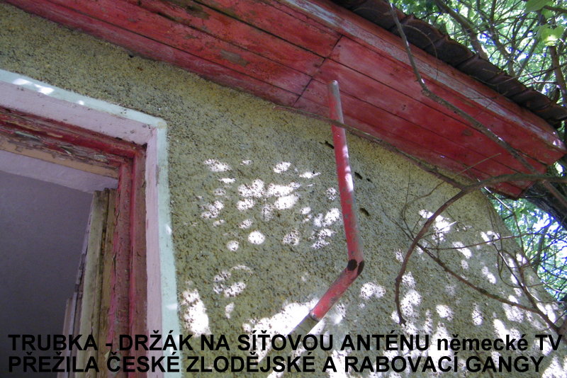 DSCF6142